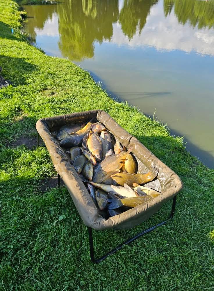 Sezon 2025 WhatsApp 50